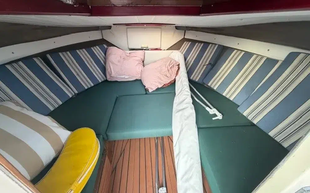 slider 4 Glastron Ventura V210