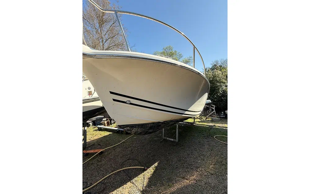 slider 12 White Shark 215