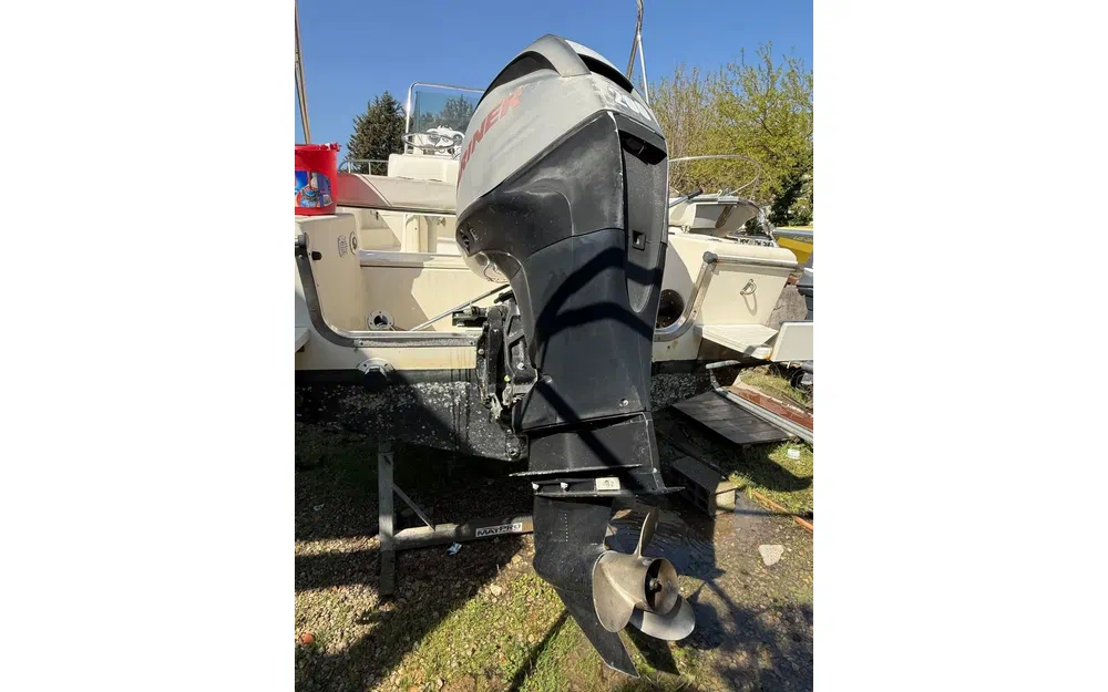 slider 14 White Shark 215