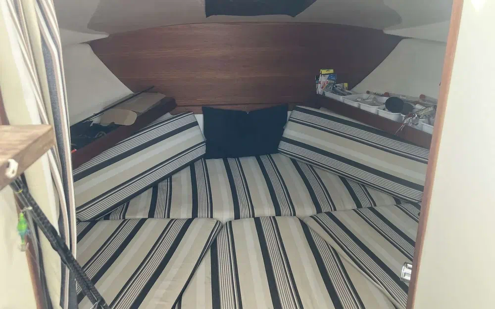 slider 25 Goymar 800