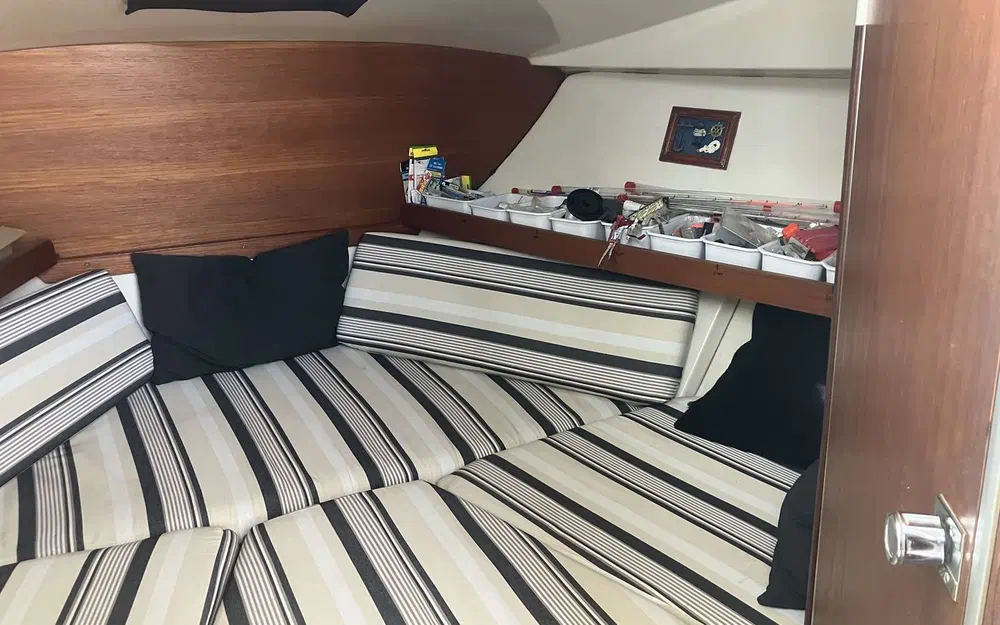 slider 26 Goymar 800