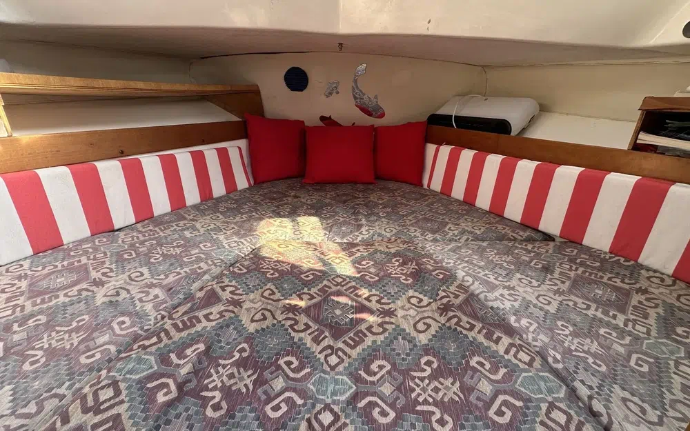 slider 13 Rodman 700