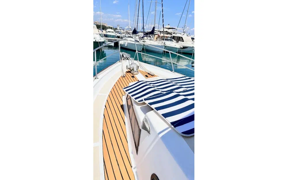 slider 7 Ocqueteau 860 Aranea