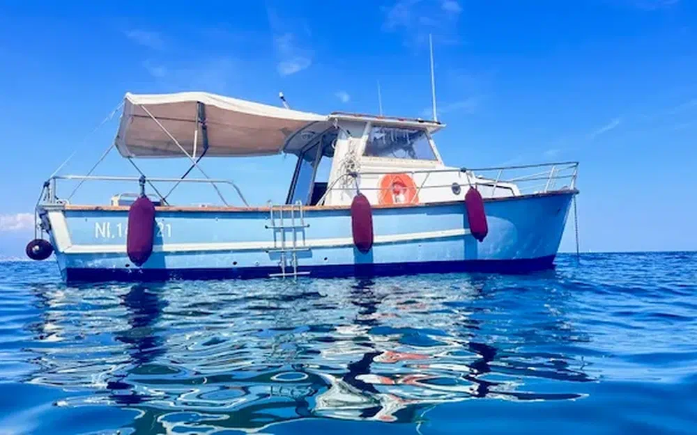 slider 8 Ocqueteau 860 Aranea