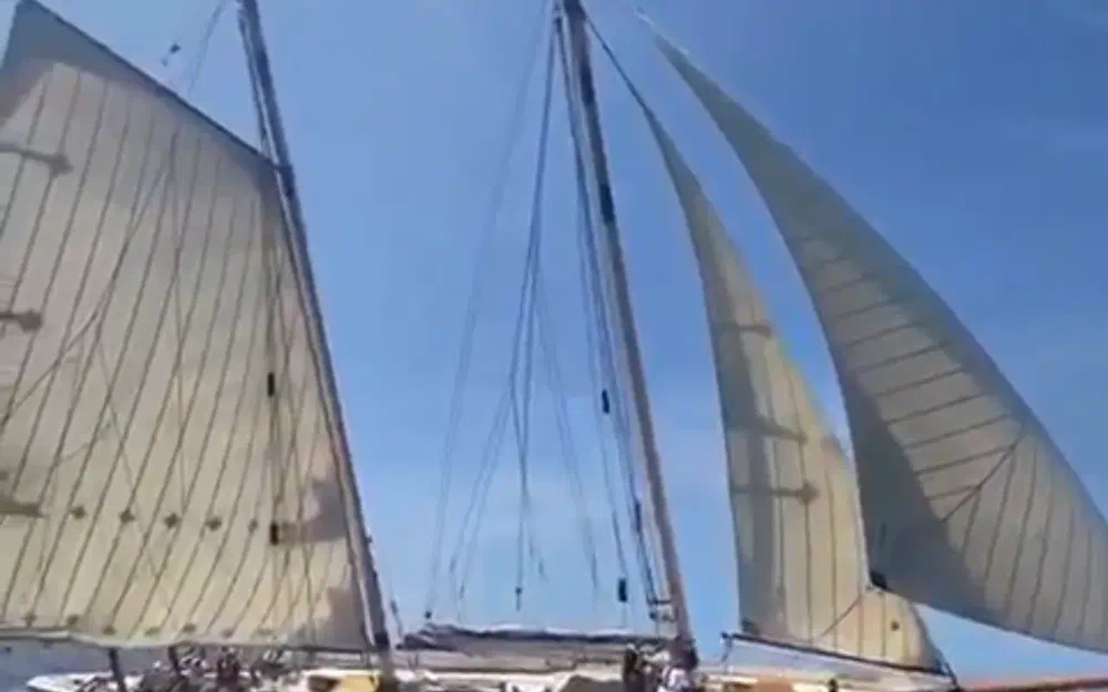 slider 19 Sciarrelli Schooner