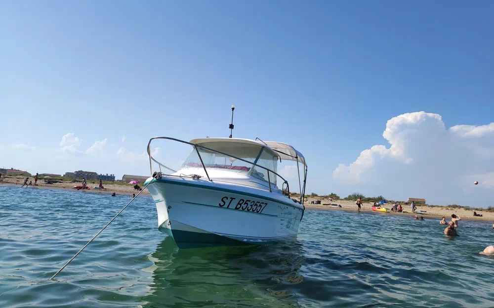 slider 25 Ocqueteau 485