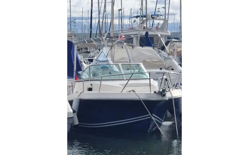 slider 0 Kelt White Shark 237