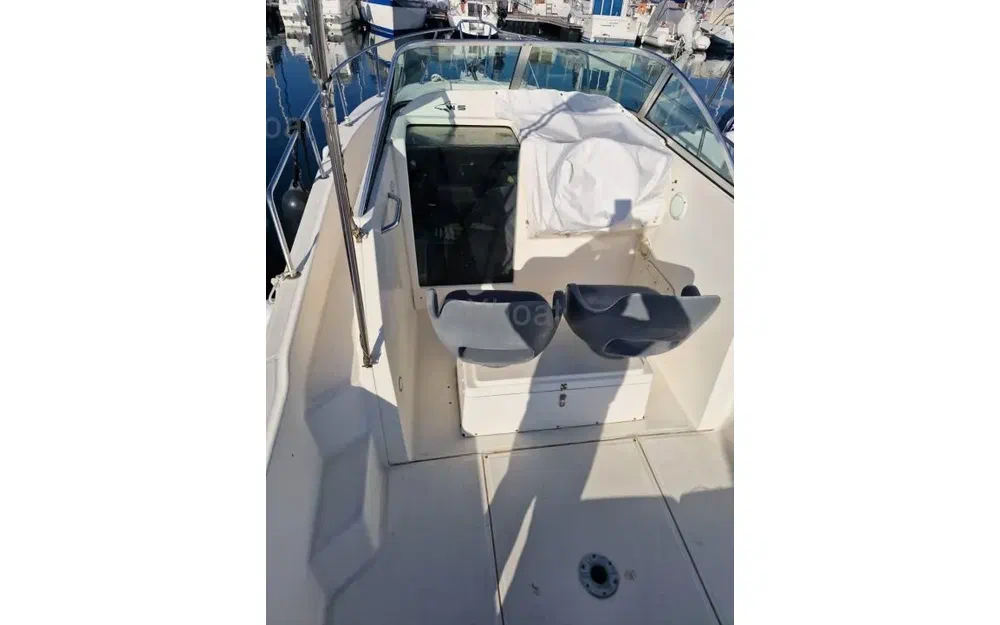 slider 9 Kelt White Shark 237