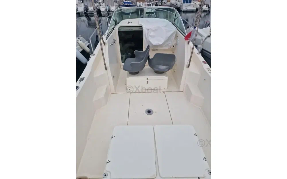 slider 11 Kelt White Shark 237