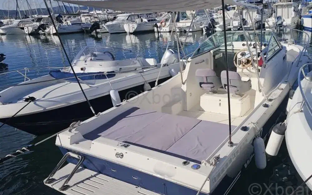 slider 1 Kelt White Shark 237