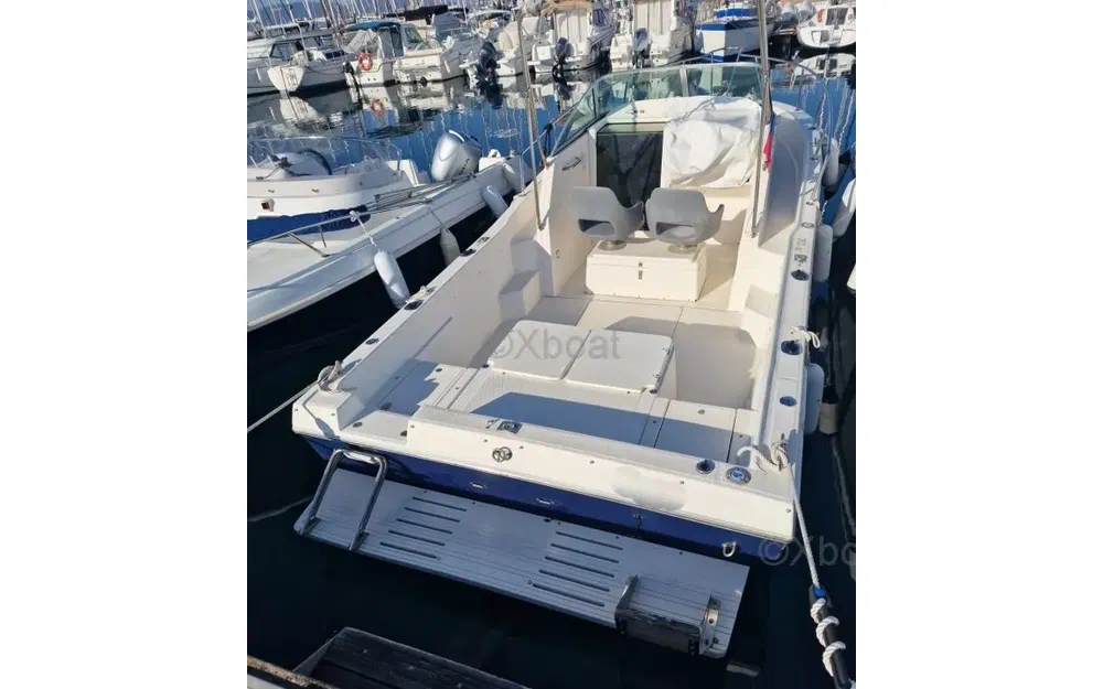 slider 3 Kelt White Shark 237