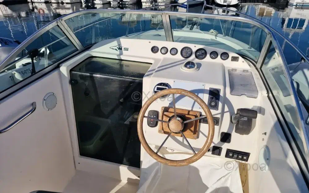 slider 4 Kelt White Shark 237