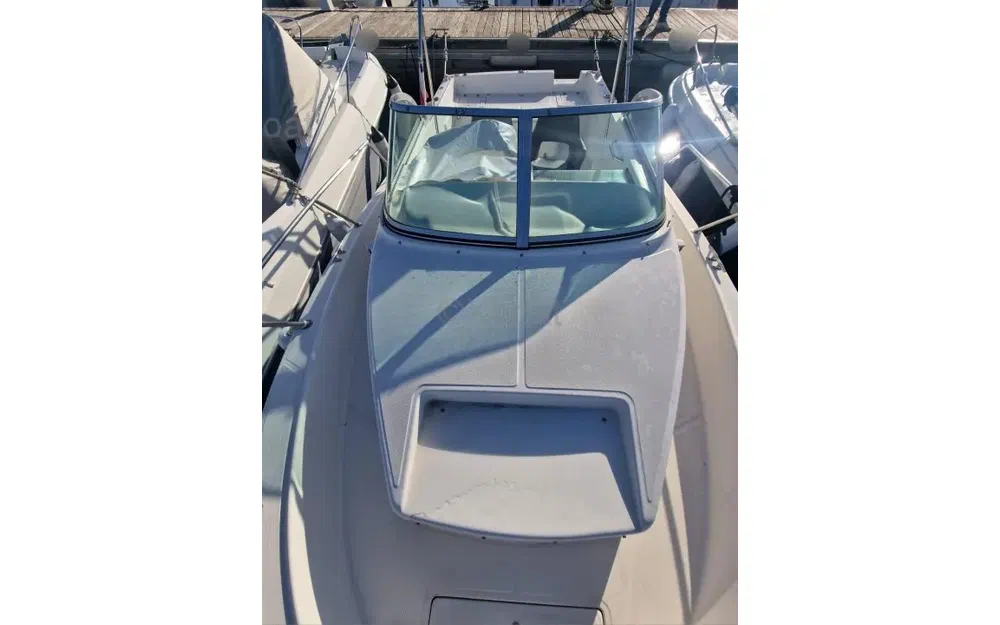 slider 6 Kelt White Shark 237