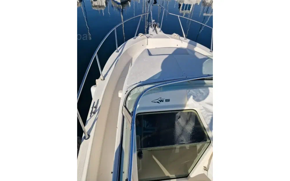 slider 8 Kelt White Shark 237