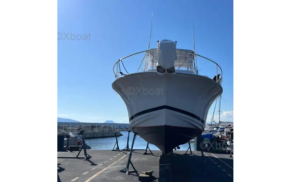 slider 4 Luhrs 36 Convertible