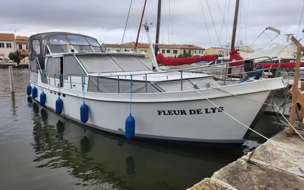 slider 0 Vedette Hollandaise