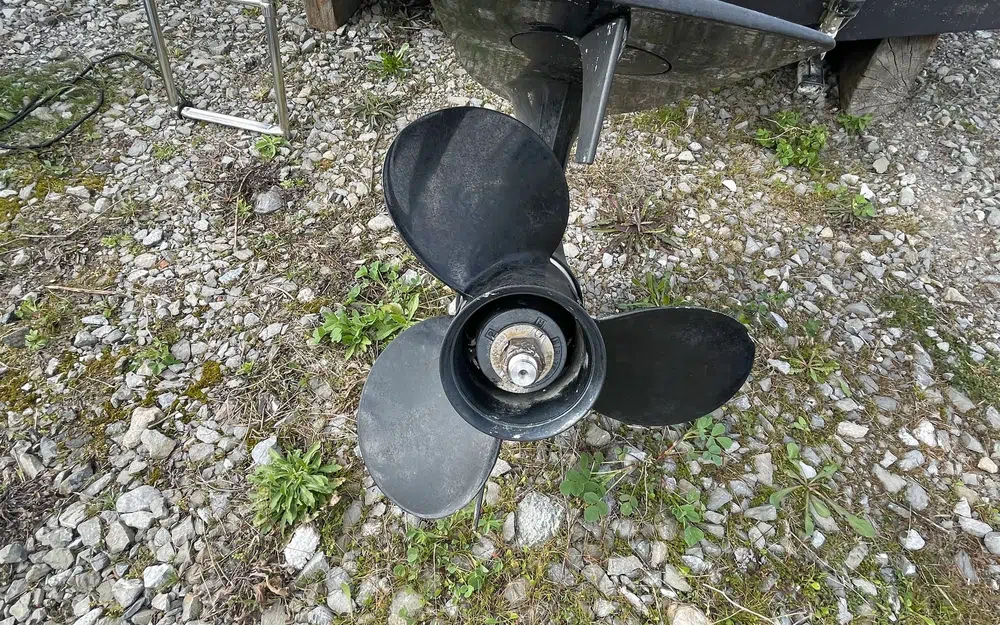 slider 12 Ranieri Atlantis 19