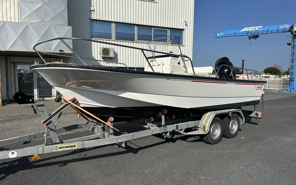 slider 0 Boston Whaler 190 Montauk