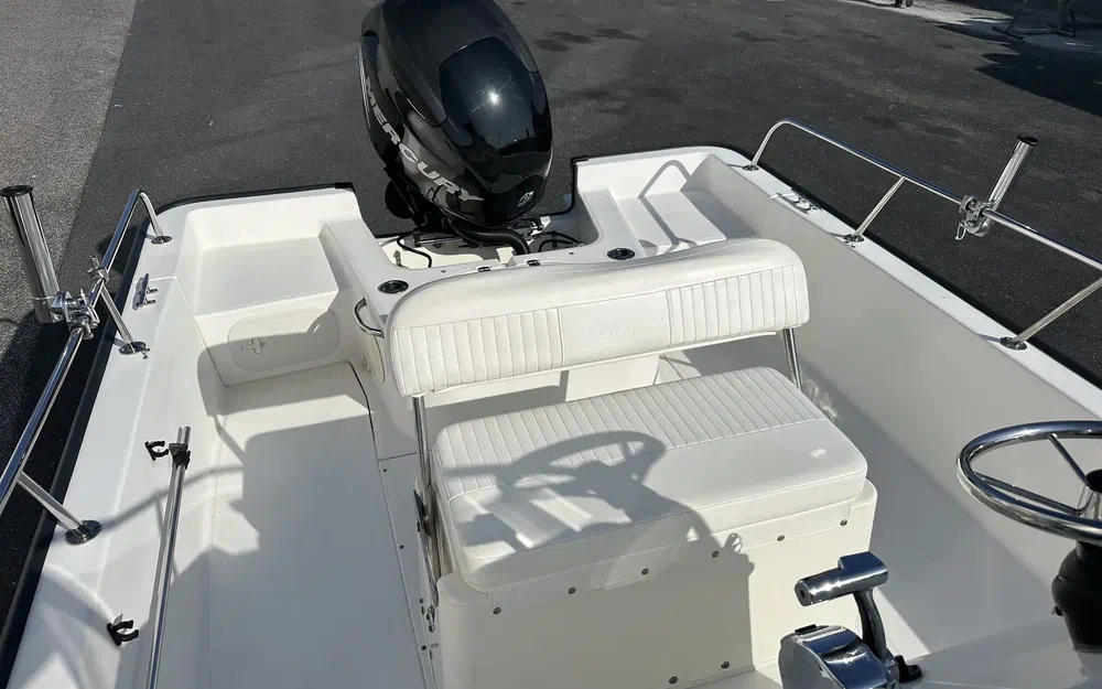 slider 7 Boston Whaler 190 Montauk