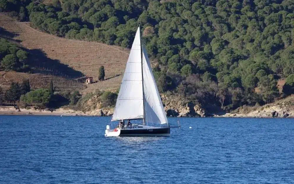 slider 6 Pogo Structures Pogo 10.50