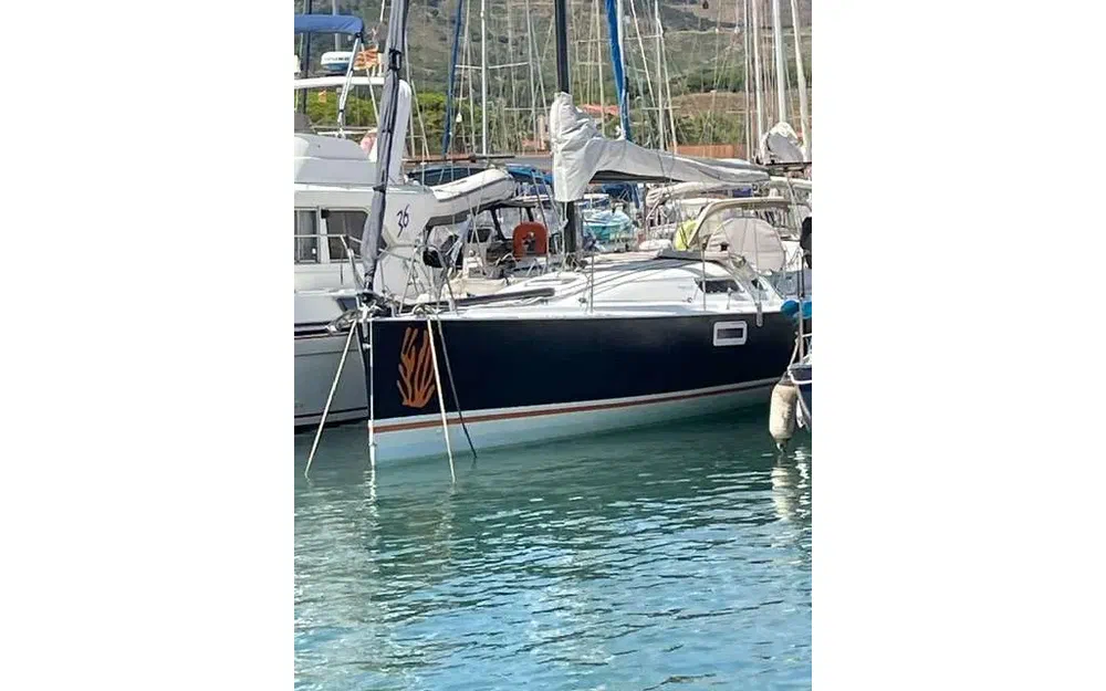 slider 7 Pogo Structures Pogo 10.50