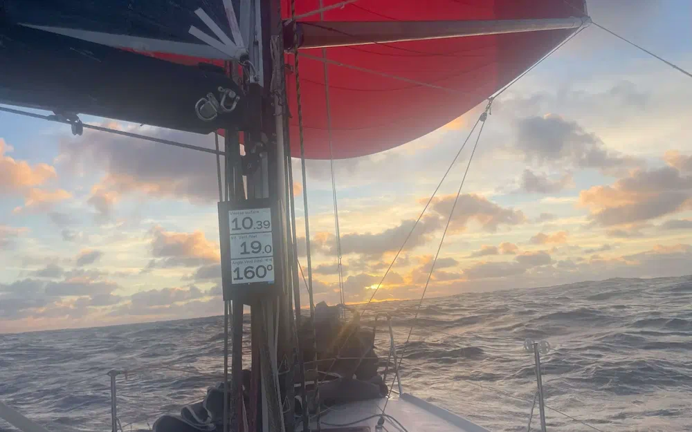 slider 3 Pogo Structures Pogo 30