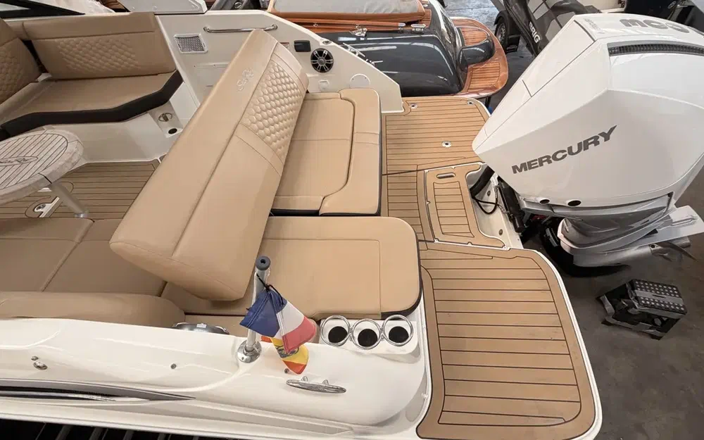 slider 2 Sea Ray 250 SDX HB