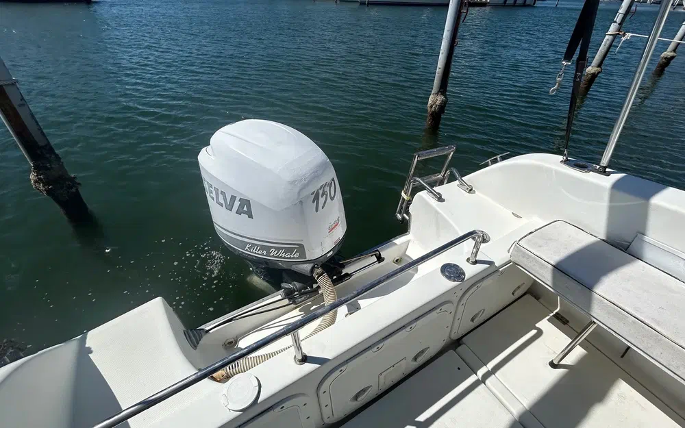 slider 8 Selva F6.5 Cabin Plus