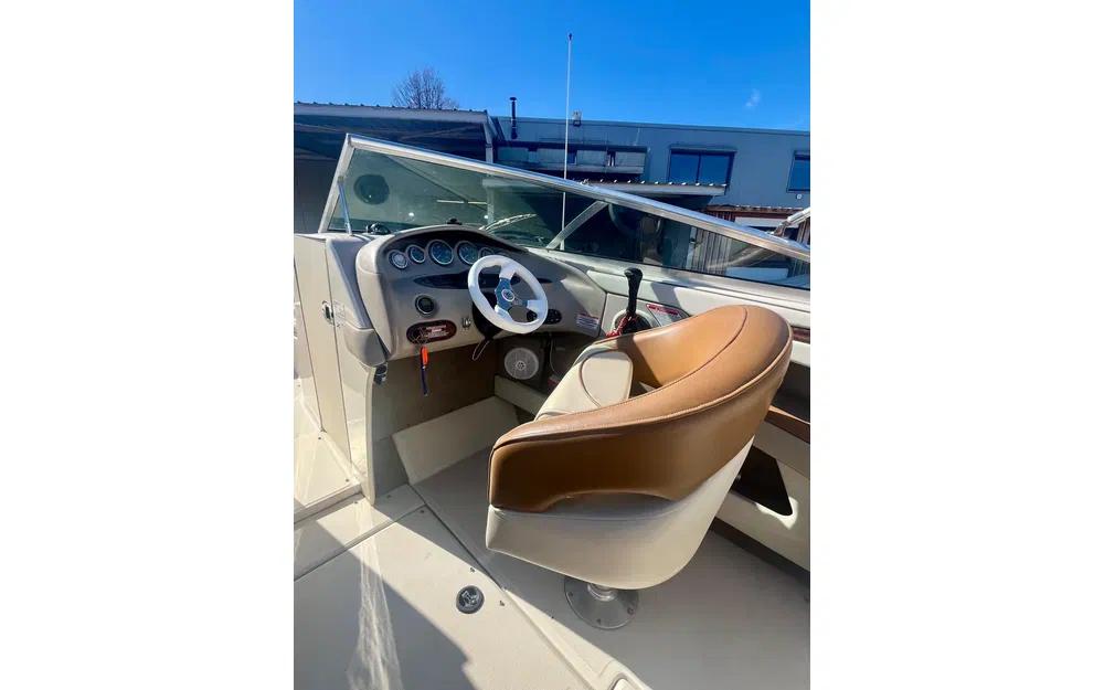 slider 6 Sea Ray 240 Bow rider Signature