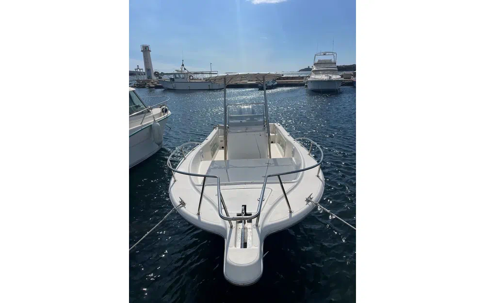 slider 0 Kelt White Shark 225