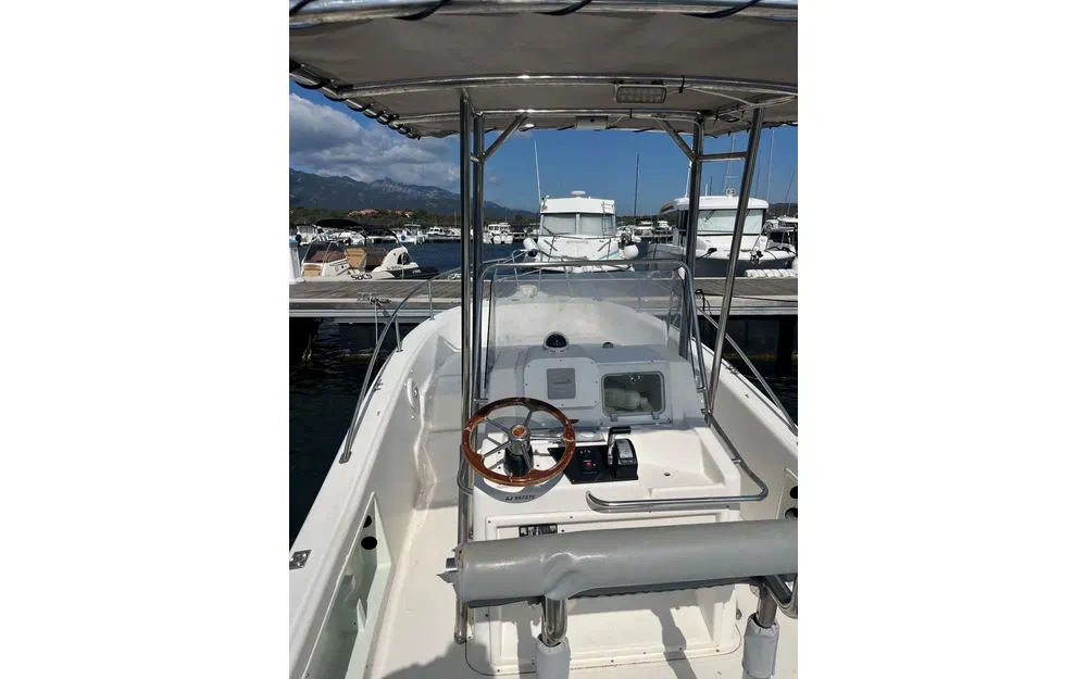 slider 1 Kelt White Shark 225