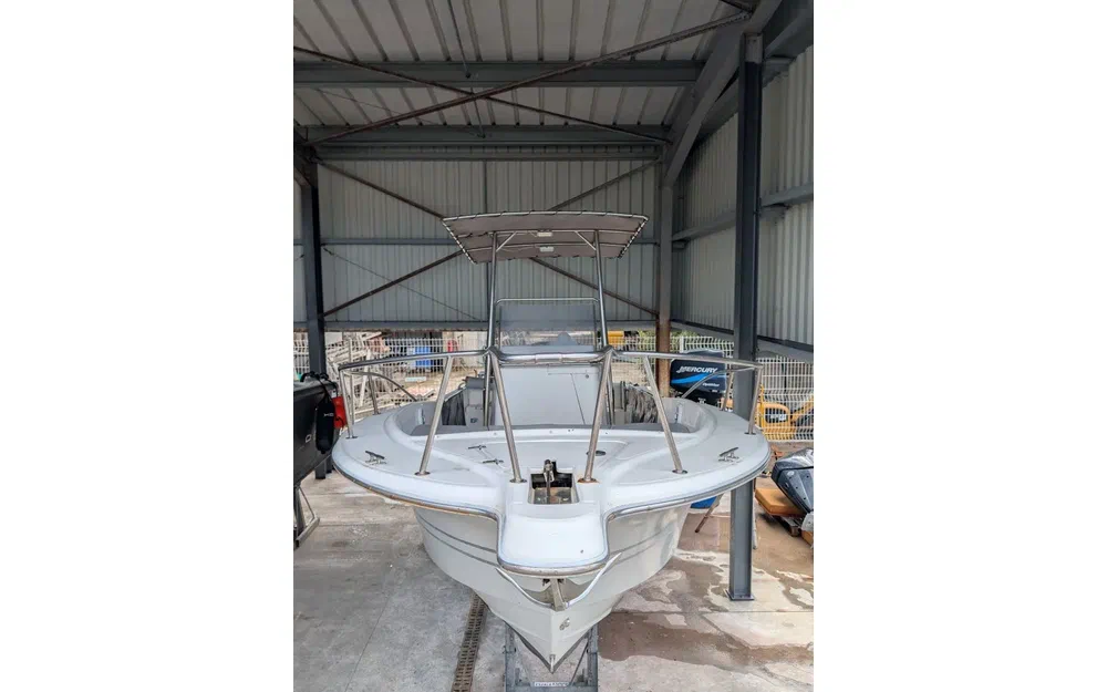 slider 4 White Shark 225