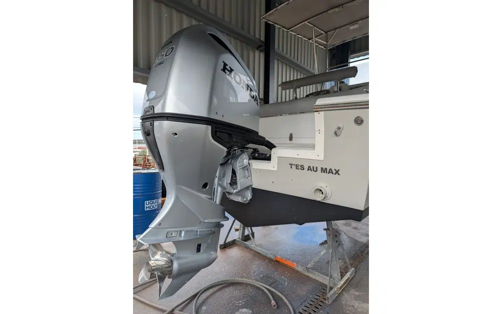 slider 6 White Shark 225