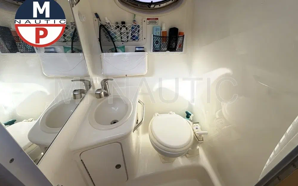 slider 18 Sea Ray 255 Sundancer