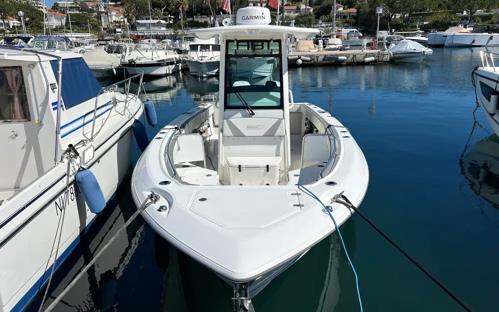 slider 1 Boston Whaler 280 Outrage
