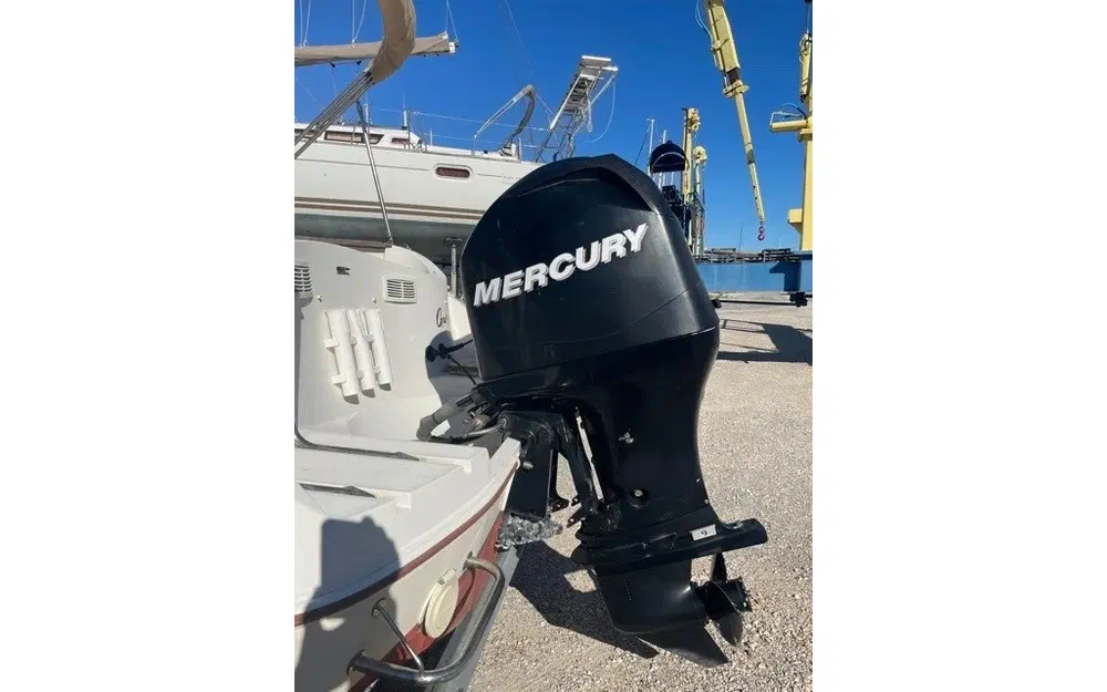 slider 5 Quicksilver 540 Cruiser