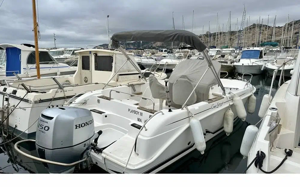 slider 0 B2 Marine Cap Ferret 652