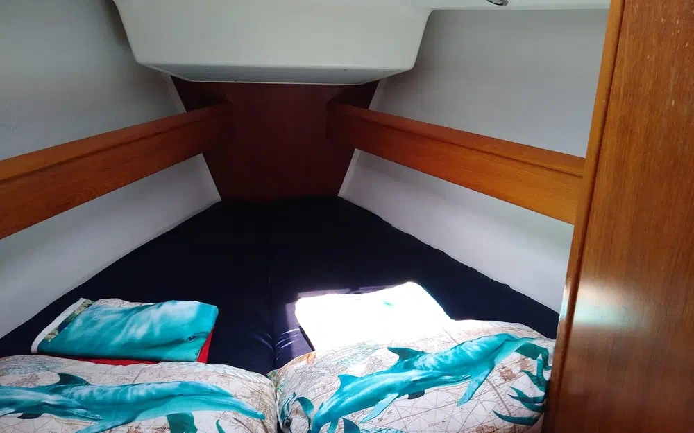 slider 10 Jeanneau Sun Odyssey 43