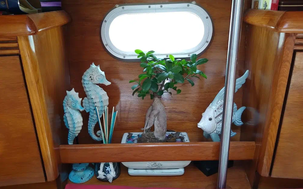 slider 12 Jeanneau Sun Odyssey 43