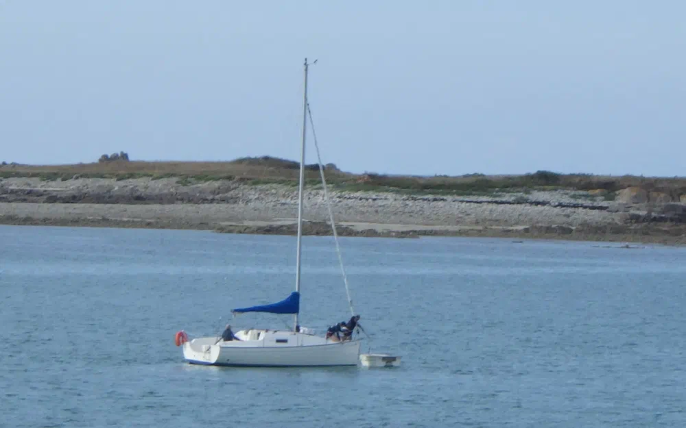 slider 16 Jeanneau Sun 2500