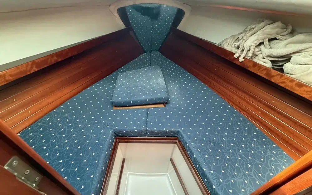 slider 15 Ronautica RO 300