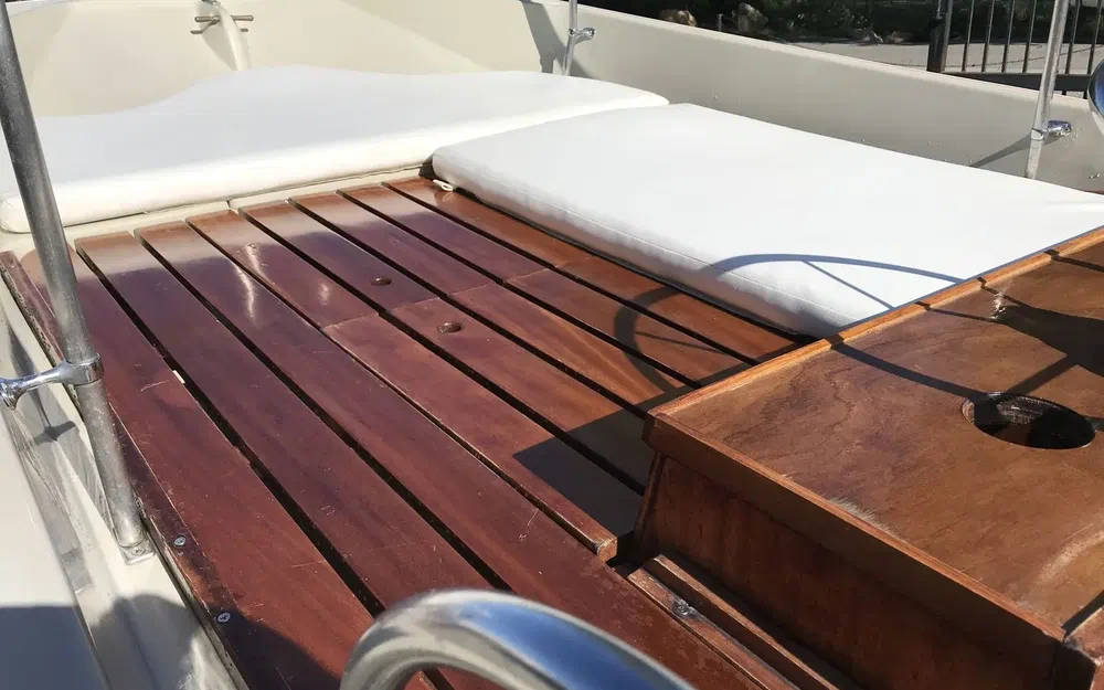 slider 12 Boston Whaler 17