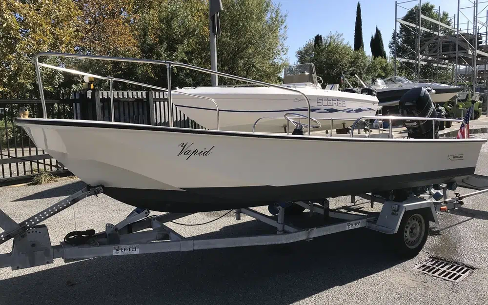 slider 15 Boston Whaler 17