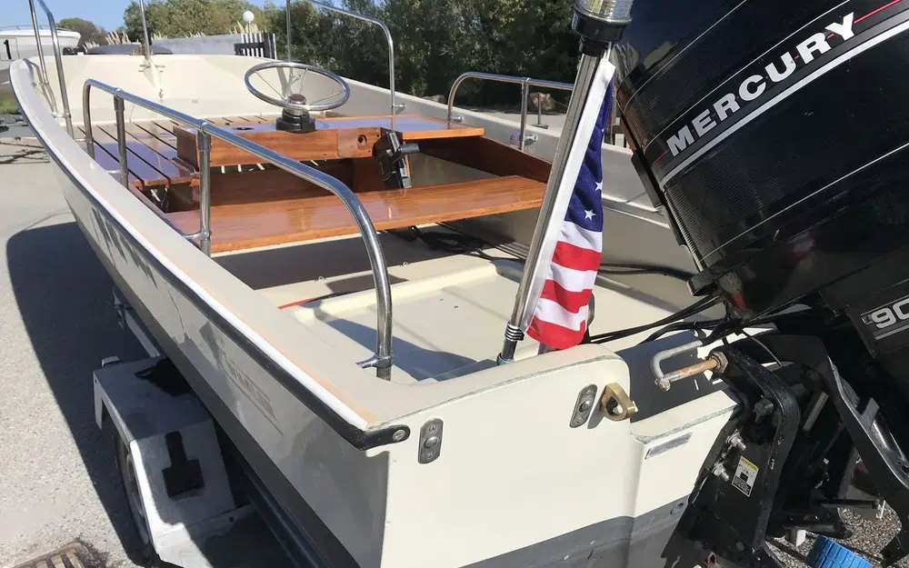 slider 3 Boston Whaler 17