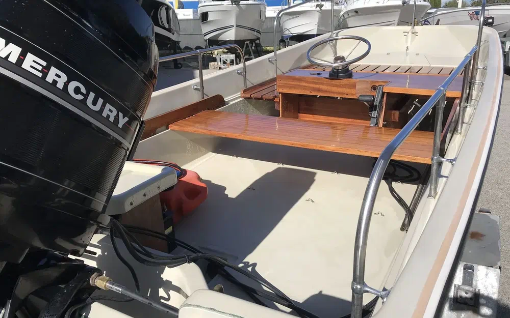 slider 4 Boston Whaler 17