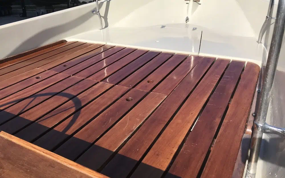 slider 6 Boston Whaler 17