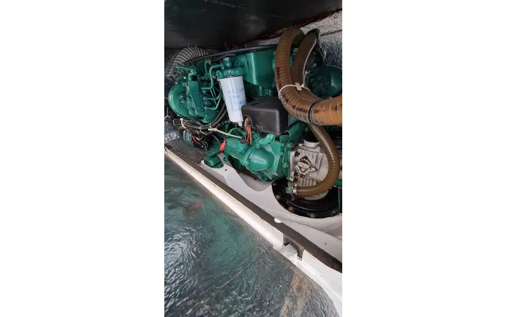 slider 28 Judelvrolijk 49 AQUILA