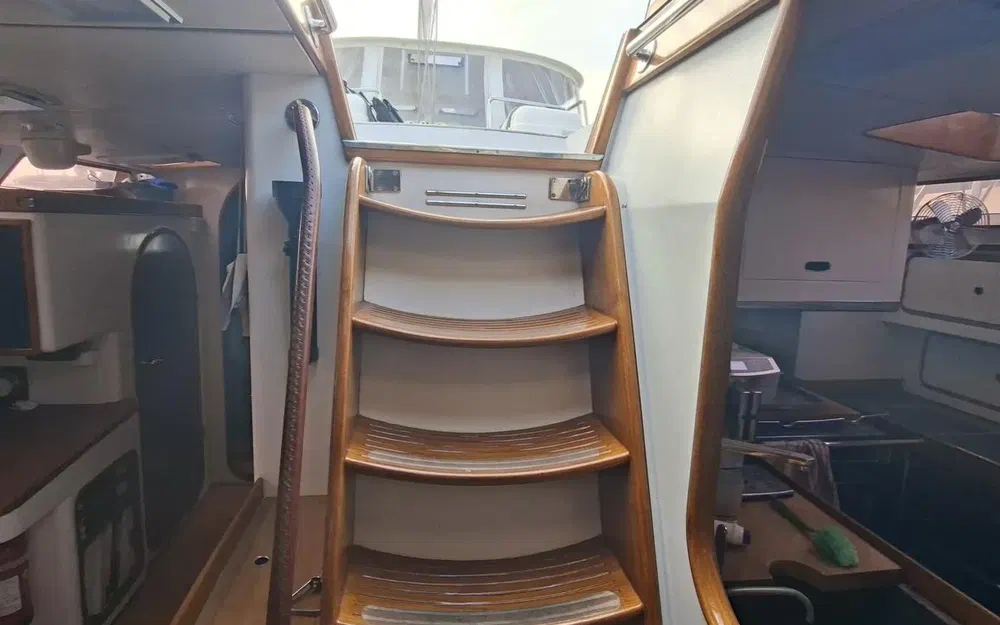 slider 33 Derecktor One Off David Pedrick