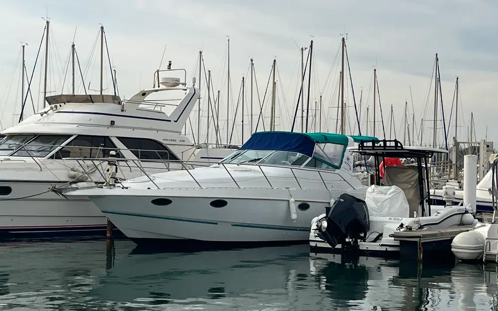 slider 20 Chris Craft Crowne 302