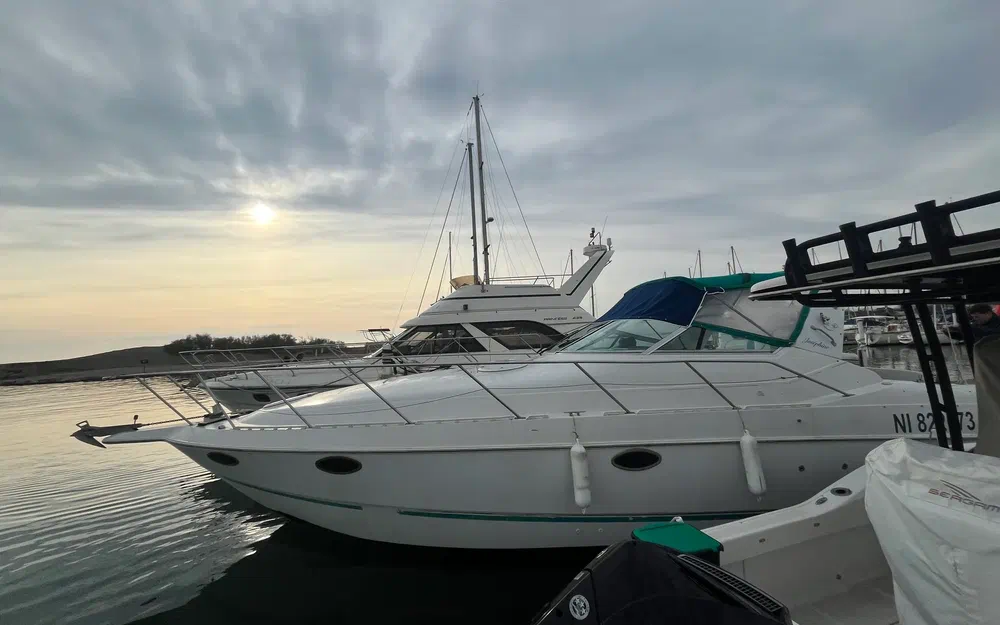 slider 19 Chris Craft Crowne 302